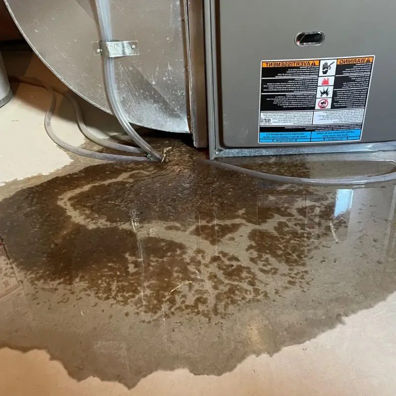 Pipe Burst and Leak Restoration in East Lansdowne, PA